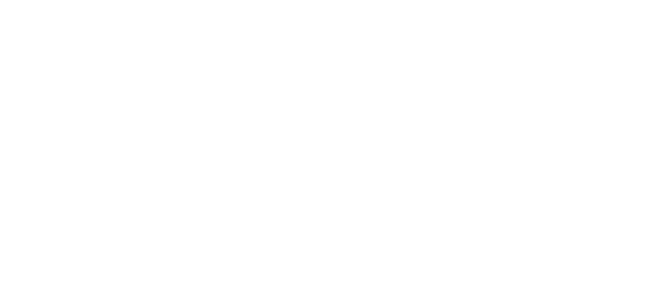 Logo HomeLife Higher Standards